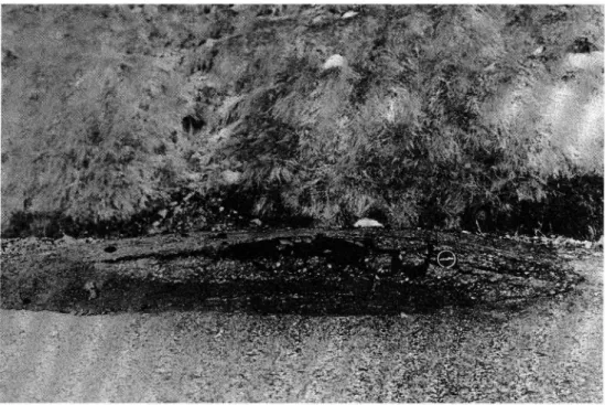 Figure l Boulder heave and a reflection crack in a bump on road 234 in the northern part of the county of Värmland.