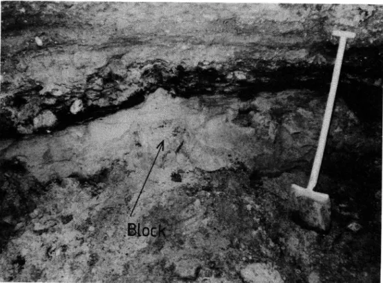 Figure 13 Boulder heave with a raised layer of sediment (road 518).