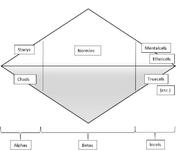 Figur 1. Representation av den sociala hierarkin. Storleken representerar befolkningsstorleken,  grå färg representerar män och vit färg representerar kvinnor (Baele et al., 2019)
