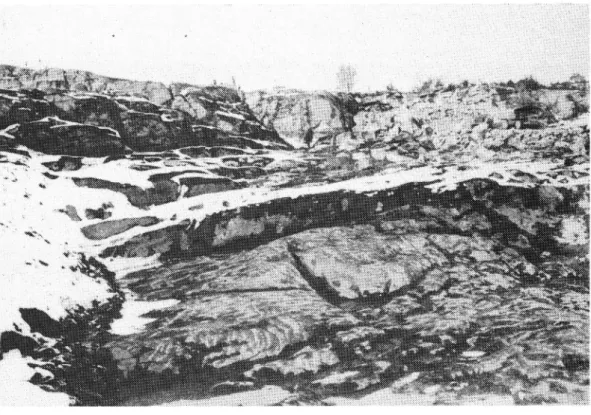 Figur 2. Bergbranten vid km 67/100 och den vågformiga gnejsens yta