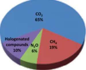 Figure   1-3:  Direct contribution of greenhouse gases to climate change (IEA Greenhouse  Gas R&amp;D website, 2008)