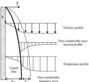 Figure  3-3:  Water vapour condensation on a smooth vertical plane in presence of non- non-condensable gas
