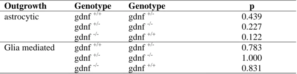 Table 2: Significance values (p) received when tissue with different GDNF genotypes were  compared at 7 days in vitro, where a significant difference is seen when p  &lt; 0.05.