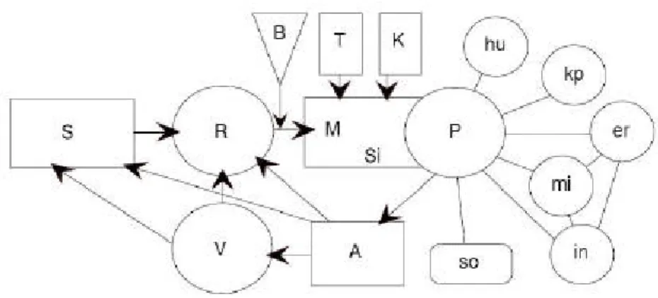 Figur 2. Upplevelsemodell. S=sändare, R=representation, M=mottagare, Si=sinnesintryck,  P=perception, B=brus, T=tidpunkt, K=kulturell och social status, hu=humör, kp=kognitiva  processer, er=erfarenhet, mi=minne, in=inlärning, so=sopor, A=aktivitet, V= ver