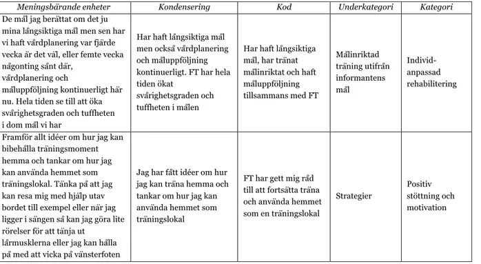 Tabell 2: Exempel från analysprocessen 