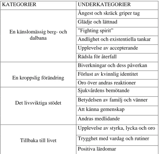 Tabell 1. Kategorier och underkategorier 