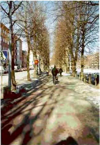 Figur 2.2  Cykelbanan där mätpunkten är placerad. Norra Kungsgatan syns till vänster om cykelbanan.