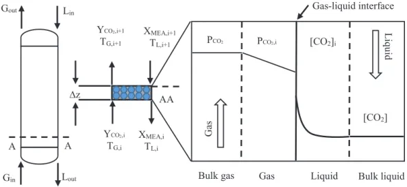 Figure 3.  Gas and liquid phase mass transfer occurring in a control volume based on the two- two-film theory of mass transfer (adapted from [13] and [21])