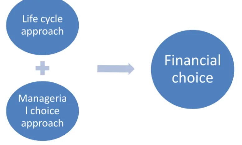 Figure 5 Financial choice components 