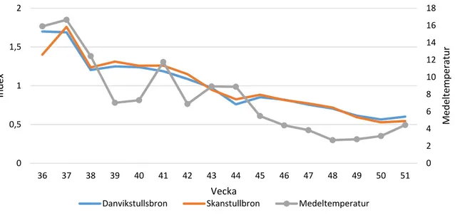 Figur 5 Valda mätplatser från Stockholm år 2013. Y-axeln till vänster anger indexerade värden för  cykelflödena för vecka 36-51 (ca september-december)