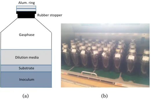 Figure 7.  a)  Presentation  of  the  content  in  the  bottles  for  the  BMP- BMP-experiment