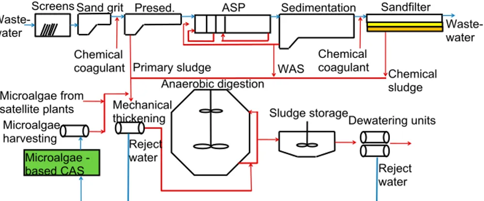 Figure 2 Microalgae based CAS for treatment of reject water from the dewatering .  Illustration by J.Olsson