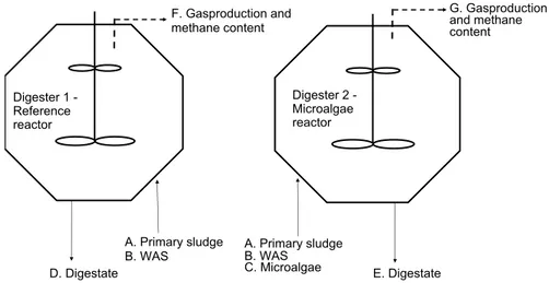 Figure 7 sampling points for the semi continuous digestion. Illustration J.Olsson    At the beginning of the study the substrates (primary sludge, WAS and  microalgae) were sent to external laboratories to be characterized for DS, VS,  total carbon, total 