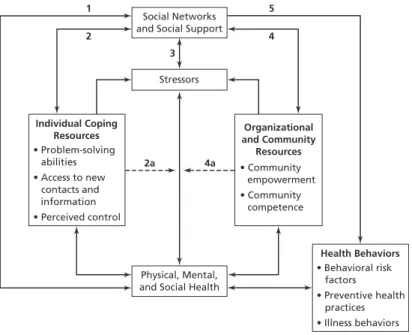 Figur 1: Konceptuella modellen för relationen mellan socialt nätverk och socialt stöd samt hälsa  (Conceptual Model for the Relationship of Social Networks and Social Support to Health) Heaney &amp; 
