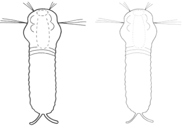 Fig. 2  Djuret till vänster har grad 5 och målades på liten yta. Djuret till höger har samma grad men målades över  ett helt A4