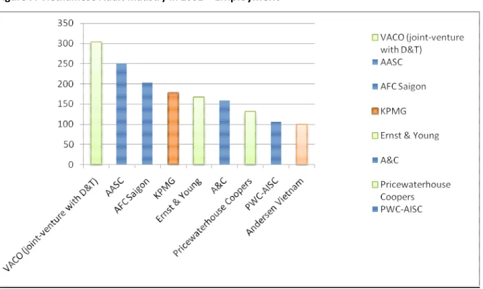 Figure 7: Vietnamese Audit Industry in 2002 –  Employment