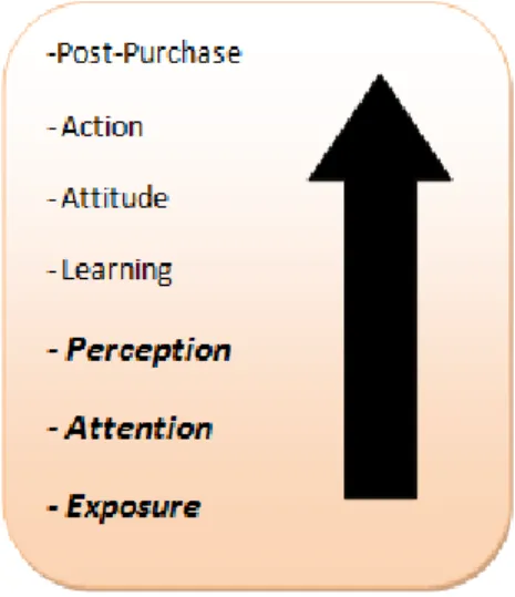 Figure 1: Sequential effects of response to marketing  Source: (Evans, Jamal and Foxall, 2009)