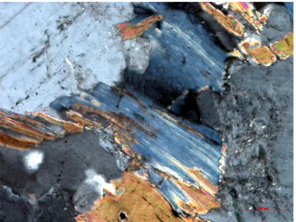 Figur 6  Klorit gråblått färgat mineral i mitten av bilden ersätter biotit (brunfärgat  mineral)