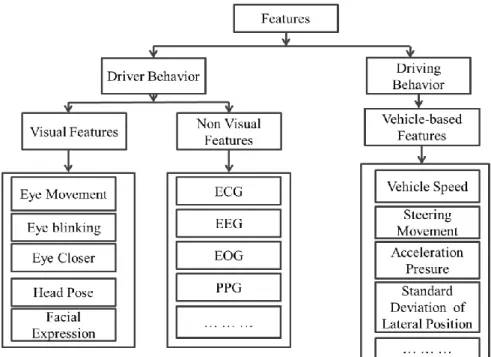 Figure 2: Overview of useful features for driver monitoring systems. 