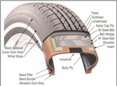 Figure 9. The radial tyre’s different components. Source: Gent and Walter (2005). 
