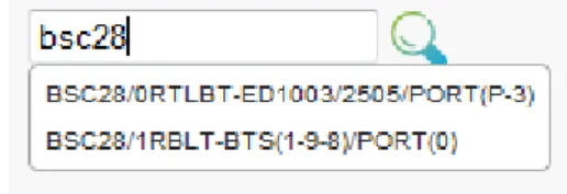 Figure 3.8: Auto completion showing the full names of the matching circuits Wild card search