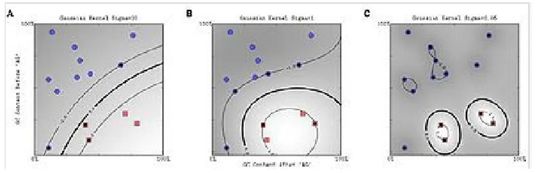Figure 19: Gaussian radial basis function