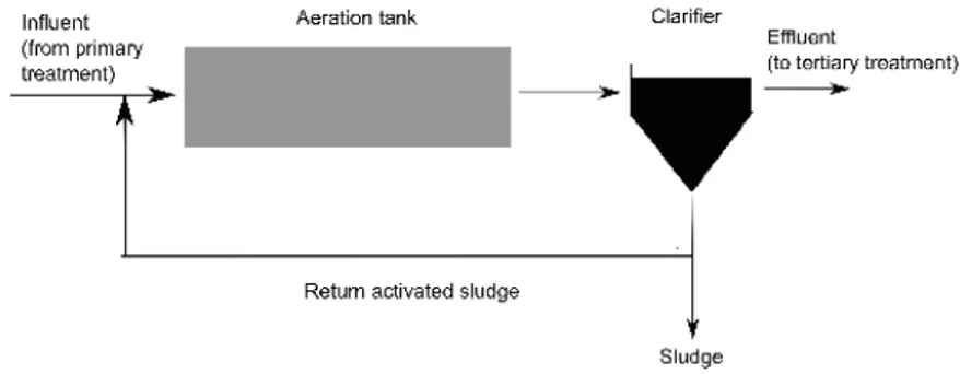 Figure 5: Scheme of the basic configuration of an activated sludge process   As mentioned before, the possible combinations of different reactors as well  as  the  design  lead  to  different  treatment  properties  and  performances