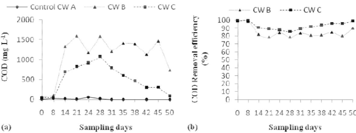 Figure 4 COD removal performance in terms of (a) effluent COD (CW A, B and C)  (CW B and C) during the experimental period