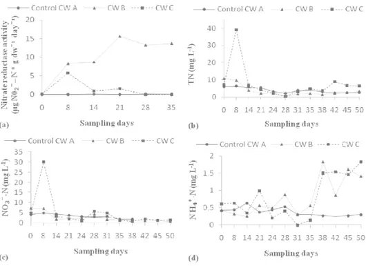 Figure  2  (a)  Nitrate  reductase  activity  in  superficial  sediments,  and  effluent  concentrations  of  (b)  Total  nitrogen  (TN), (c) N0₃⁻-N and (d) NH₄⁺-N from CWs A