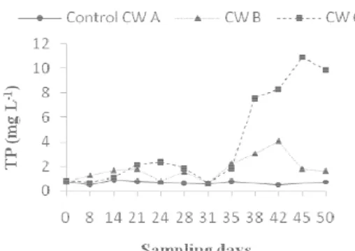 Figure 3 Total Phosphorous (TP) concentration in effluent samples from CW A, B and C during the experimental  period