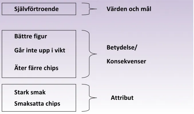 FIGUR	
  4.0	
  Exempel	
  på	
  användningen	
  av	
  Means-­‐end	
  chain	
  (Van	
  Der	
  Grinten	
  &amp;	
  Rirezebos,	
  2011,	
   s.	
  69).	
  	
  	
   	
   	
   	
   Värden	
  och	
  mål	
  Självförtroende	
  Bättre	
  figur	
  