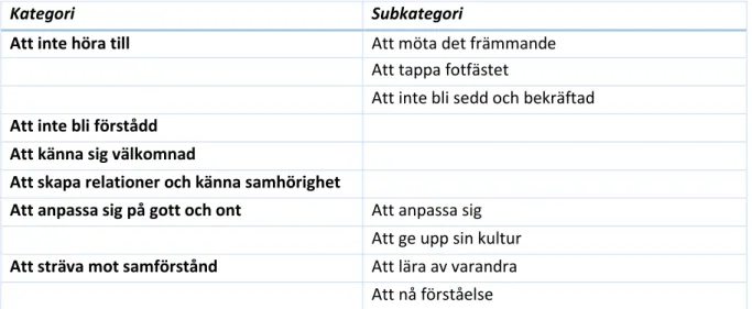 Tabell 3. Kategoriöversikt patienter