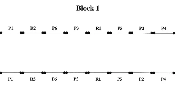Figur 1 Provsträckans utformning. Figuren visar exempel på hur ett block á 60 meter kan se ut