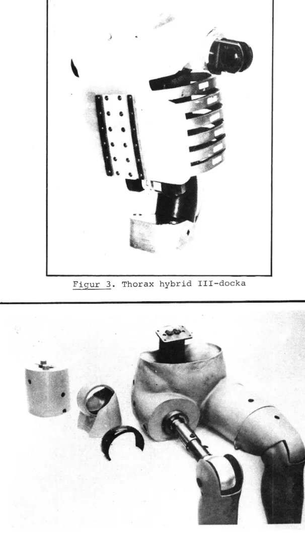 Figur 3. Thorax hybrid III-docka