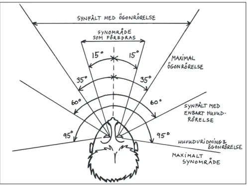 Figur 11 Synområden och synfält.