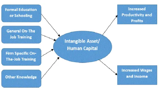 Figure 2: Model of Human Capital Theory and the Associated Investments or Inputs and the  Associated Return on Investment or Outputs