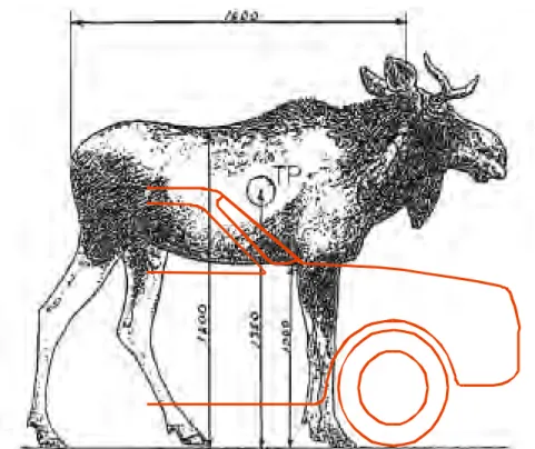 Figur 2  Dimensionerna hos en typisk älg. Det är en meter upp till buken och  älgens tyngdpunkt är 1,35 m ovanför marken