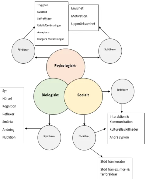 Figur 2. Fri tolkning av den bio-psyko-sociala modellen utifrån fysioterapeuters upplevelser av  faktorer som påverkar behandlingen av motoriska avvikelser hos spädbarn