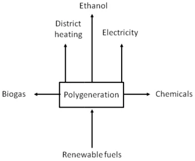 Figure 1. General flow diagram of a polygeneration system.