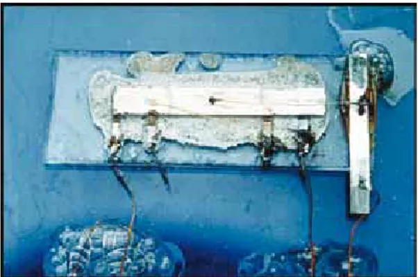 Figure 3: The first integrated circuit incorporated a transistor, a capacitor and resistances in a  piece of germanium. 