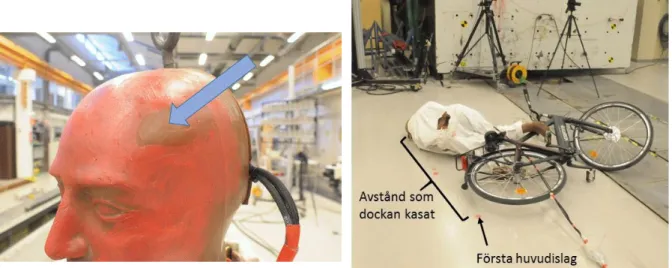 Figur 3. Till vänster visas det infärgade dockhuvudet som gjorde det möjligt att se vilken del av  huvudet som träffat golvet (pilen i bilden)