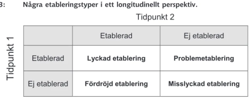 Figur 3:   Några etableringstyper i ett longitudinellt perspektiv. 