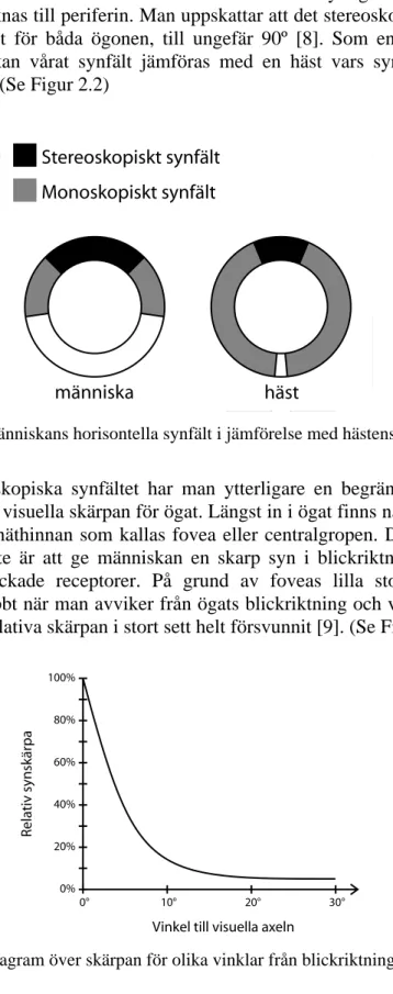 Figur 2.2 Människans horisontella synfält i jämförelse med hästens.