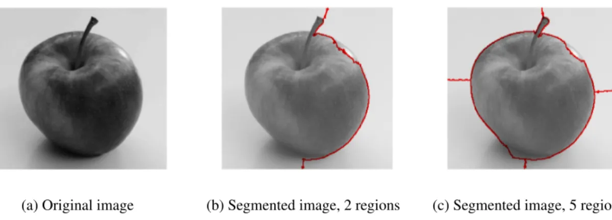 Figure B.1 is an example of the normalised cut algorithm segmenting an image into 2 and 5 regions respectively, this has been done using MATLAB