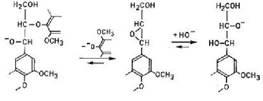 Figure 4. Cleavage of  β -aryl ether bonds during alkali pulping (Gierer, 1985) 