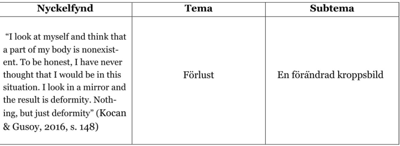 Tabell 1 . Exempel på nyckelfynd, tema och subtema 