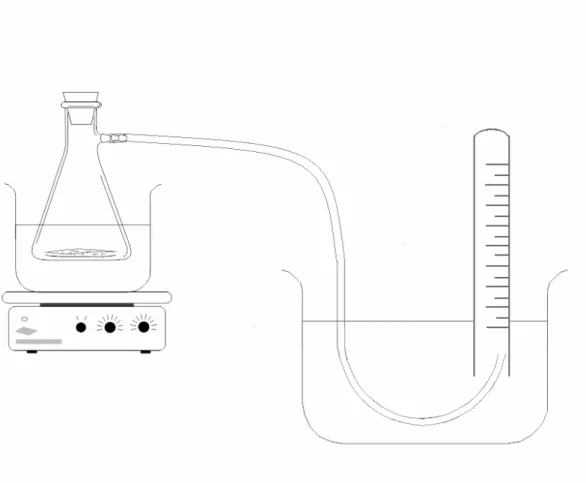 Fig. 5. Flowchart of the gasification 