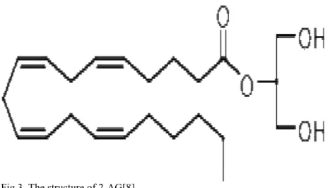 Fig 3. The structure of 2-AG[8] 