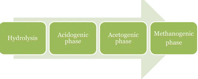 Figure 2.1.2. The biogas process can be divided into four steps. 