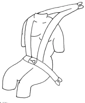 Figur 1 Trepunkts rallybälte (Inverted Y-harness)